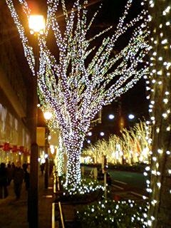 東京 表参道のクリスマスイルミネーション